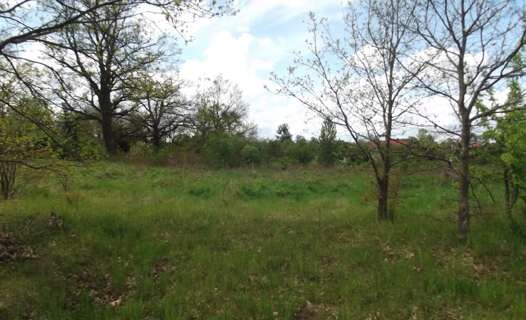 działka na sprzedaż - Szydłowo (gw), Szydłowo