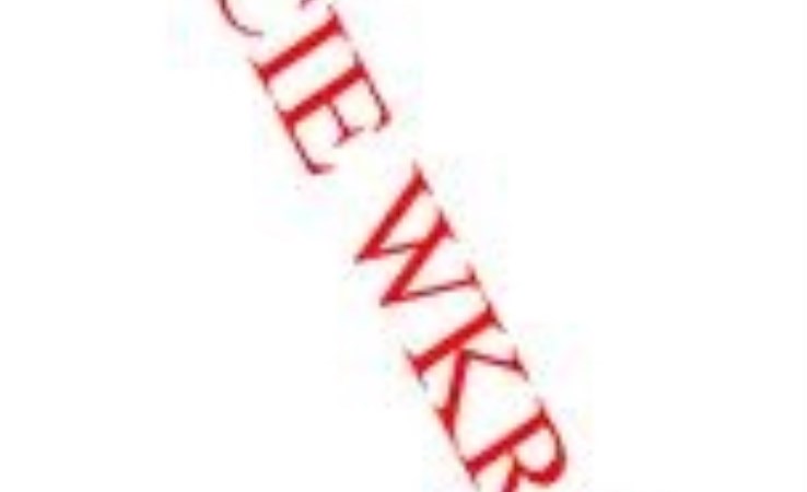 mieszkanie na wynajem - Piła, Zamość