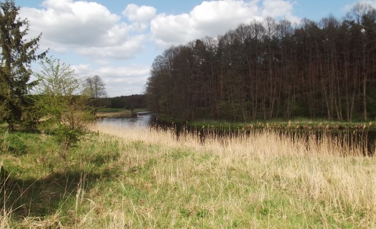 działka na sprzedaż - Tarnówka, Płytnica