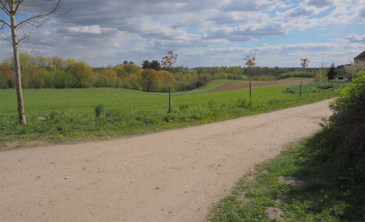 działka na sprzedaż - Trzcianka (gw), Kępa